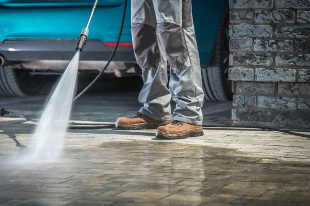 Best Sidewalk and Walkway Cleaning  in Painesville, OH