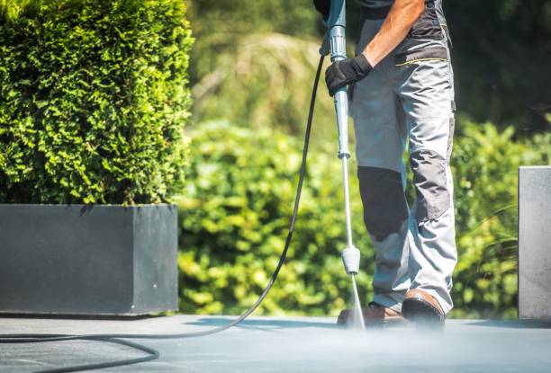 Best Patio and Deck Pressure Washing  in Painesville, OH