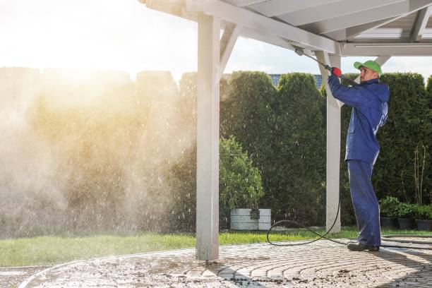 Best Fence Cleaning  in Painesville, OH