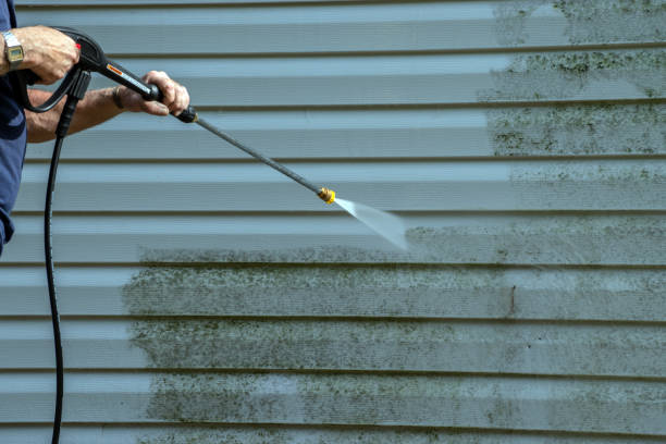 Best Gutter Cleaning  in Painesville, OH